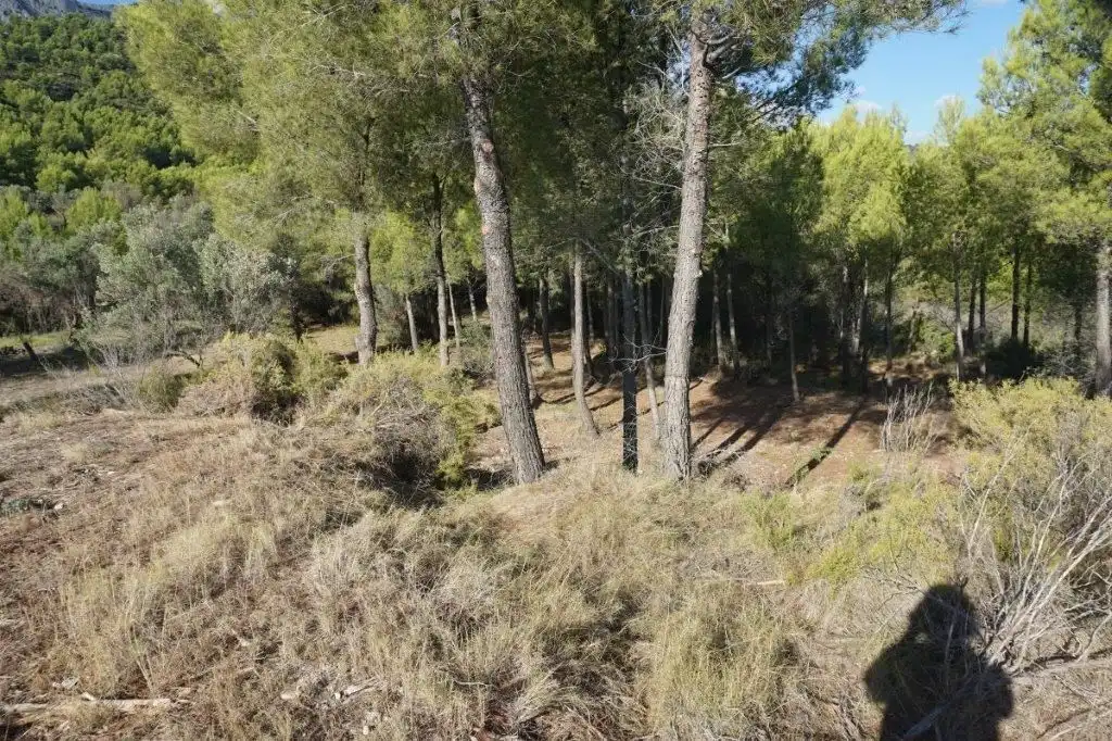 Land for sale in El Castell de Guadalest