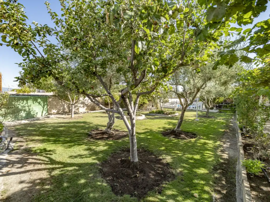 Casa en venda a Avenida Sierra Gredos Mir, imagen 54
