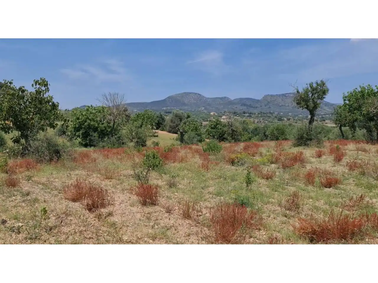 Rural land for sale in Poligono 5 723, imagen 45