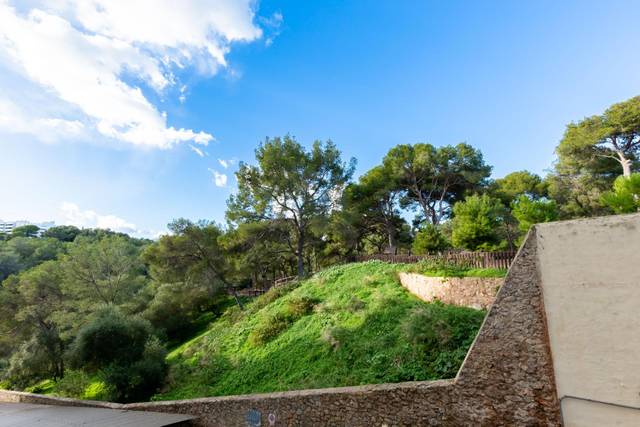 Local comercial en Venta en Carrer POLVORI en El Terreno