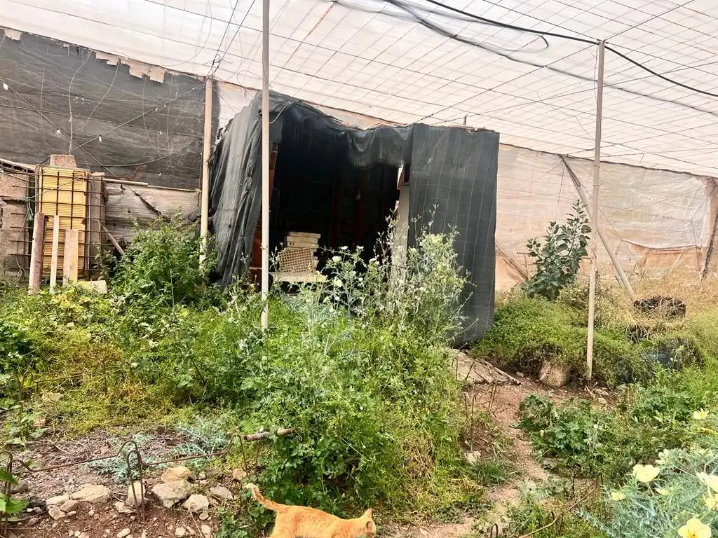 Terreny rústic en venda a La Aldea de San Nicolás, imagen 12