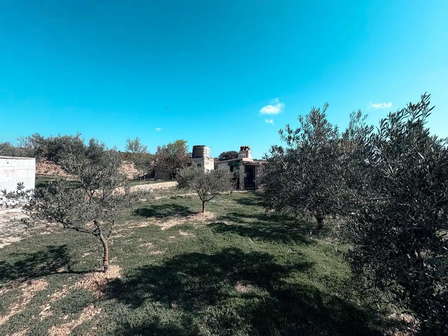 Casa o xalet en venda en Almansa