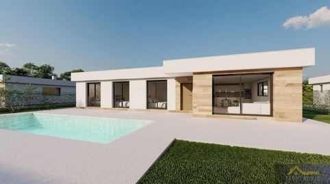 CalasparraBungalow, imatge 2