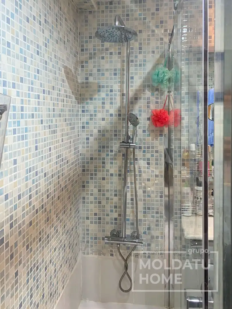 Duplex with lift for sale in Buztintxuri, imagen 51