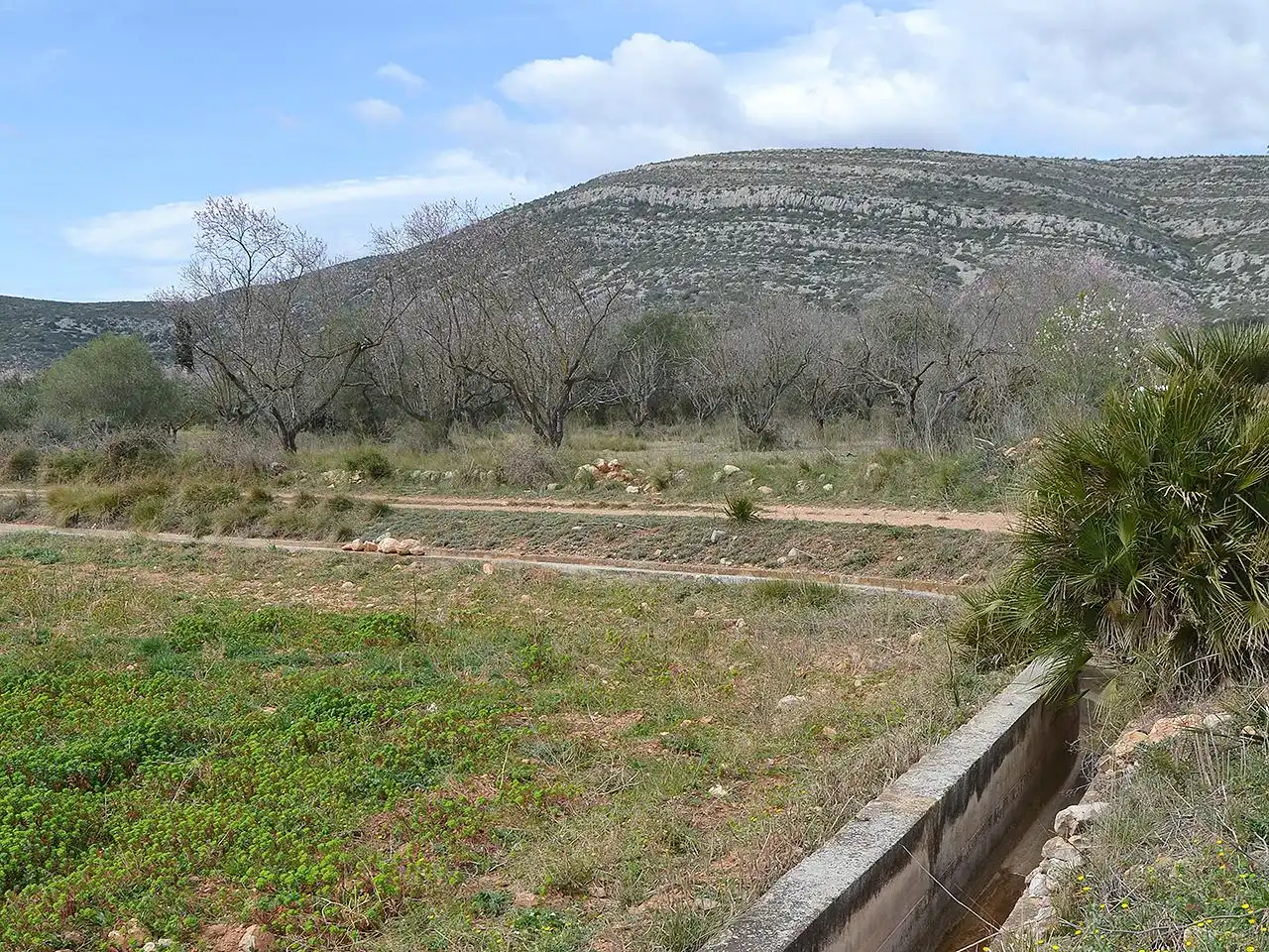 Terreny rústic en venda a Pont Godall/Dressera/Ermita, imagen 11