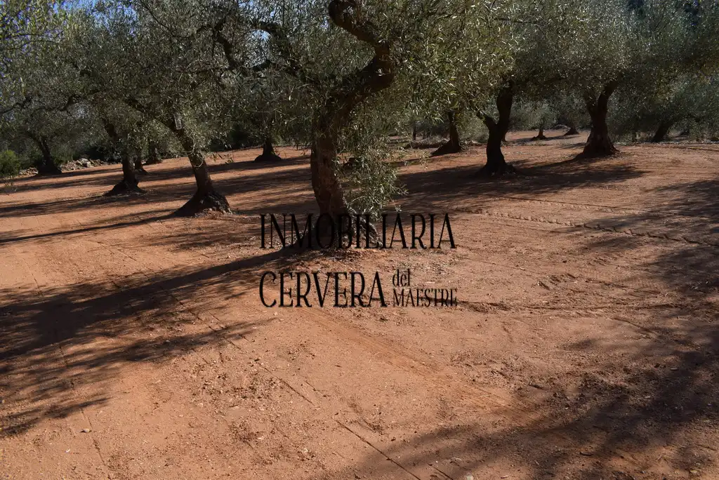 Finca rústica en venda en Cervera del Maestre amb Terrassa