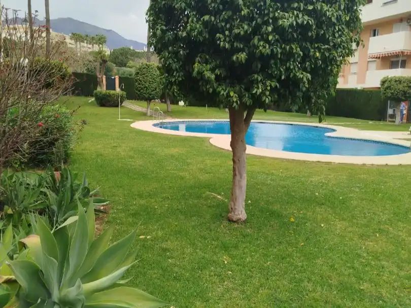Swimming pool of Flat for rent in Estepona Pueblo