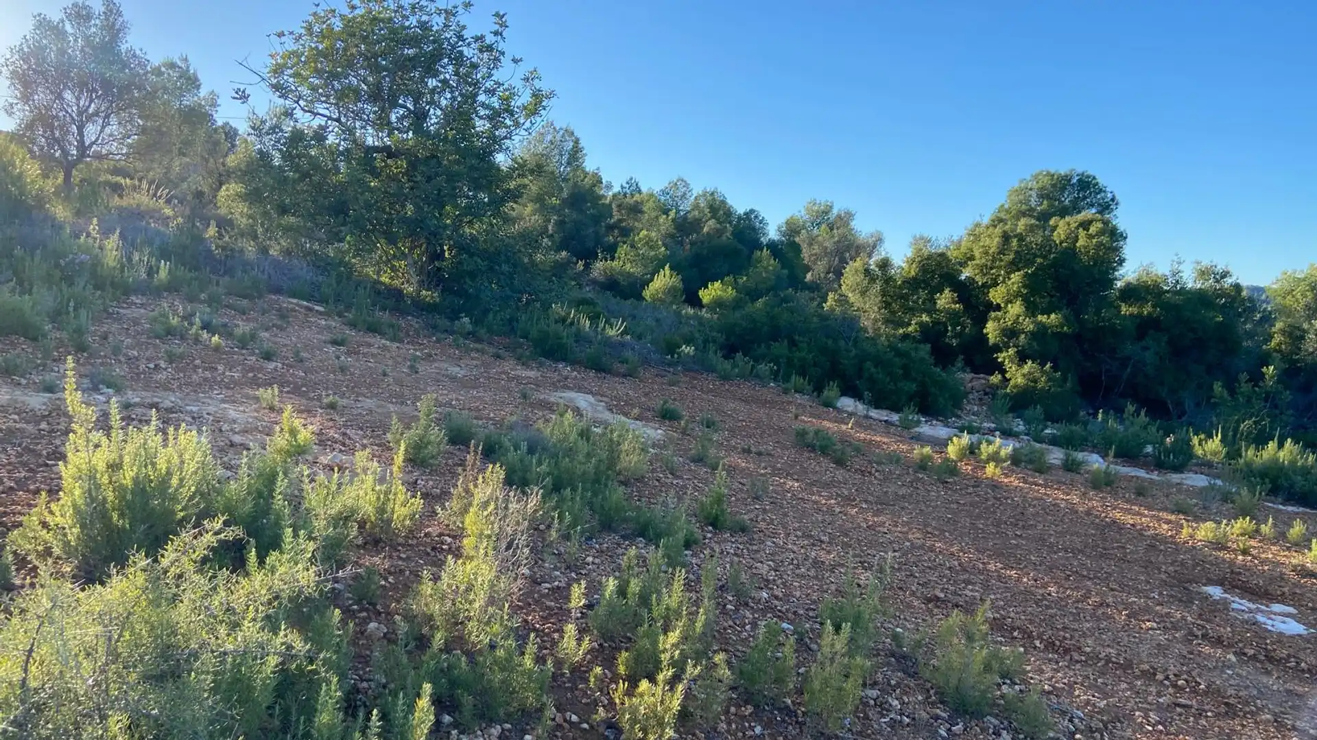 Terreno en venta en Godelleta