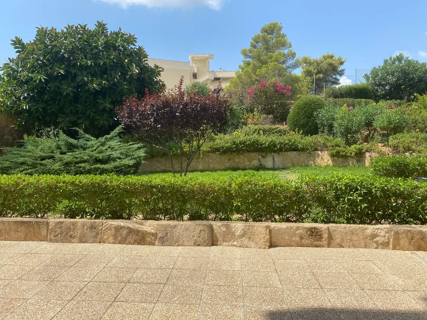 Apartament de lloguer a Portals Nous