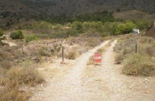 Exterior view of Land for sale in Fuente Álamo de Murcia