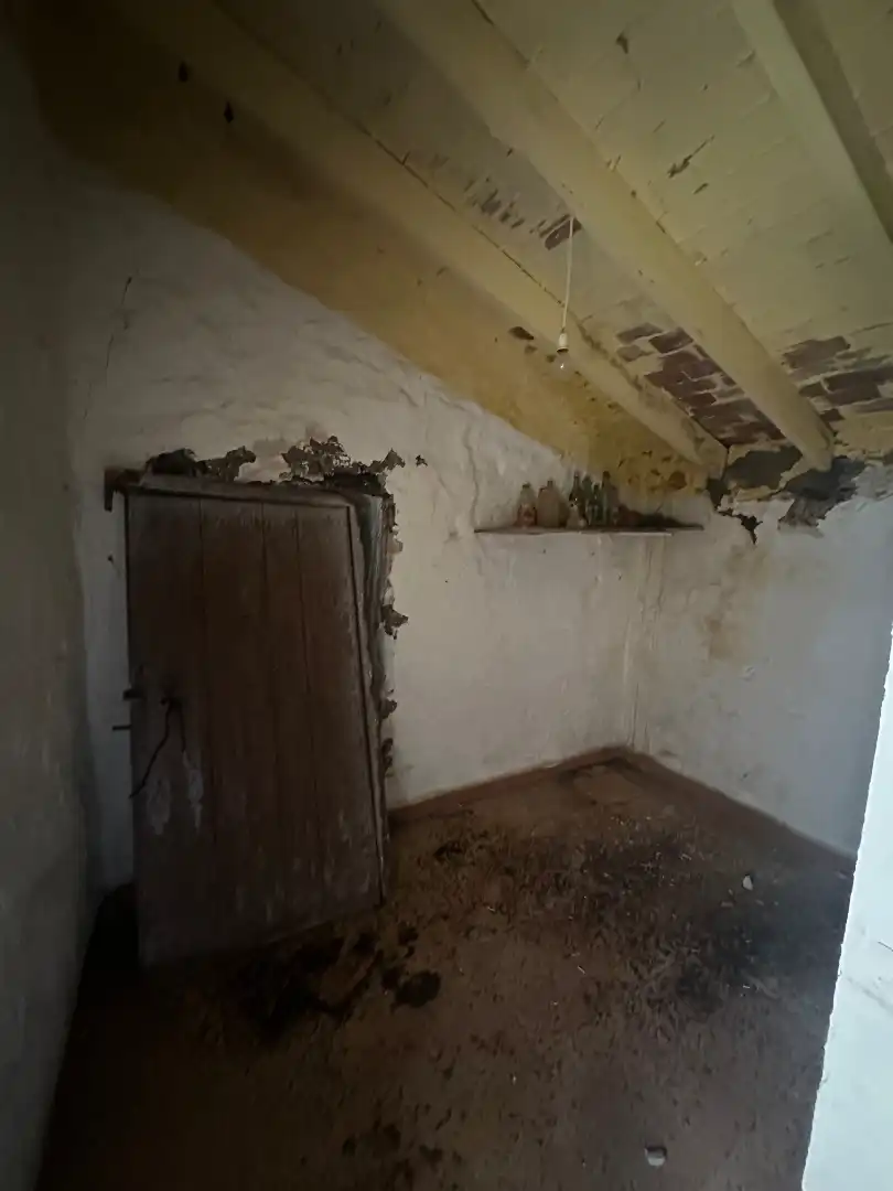 Finca rústica en venta en Iznate con Jardín privado