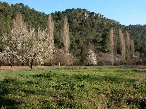 Terreni e lotti in vendita a Santiago Huertas 2-4, imagen 3