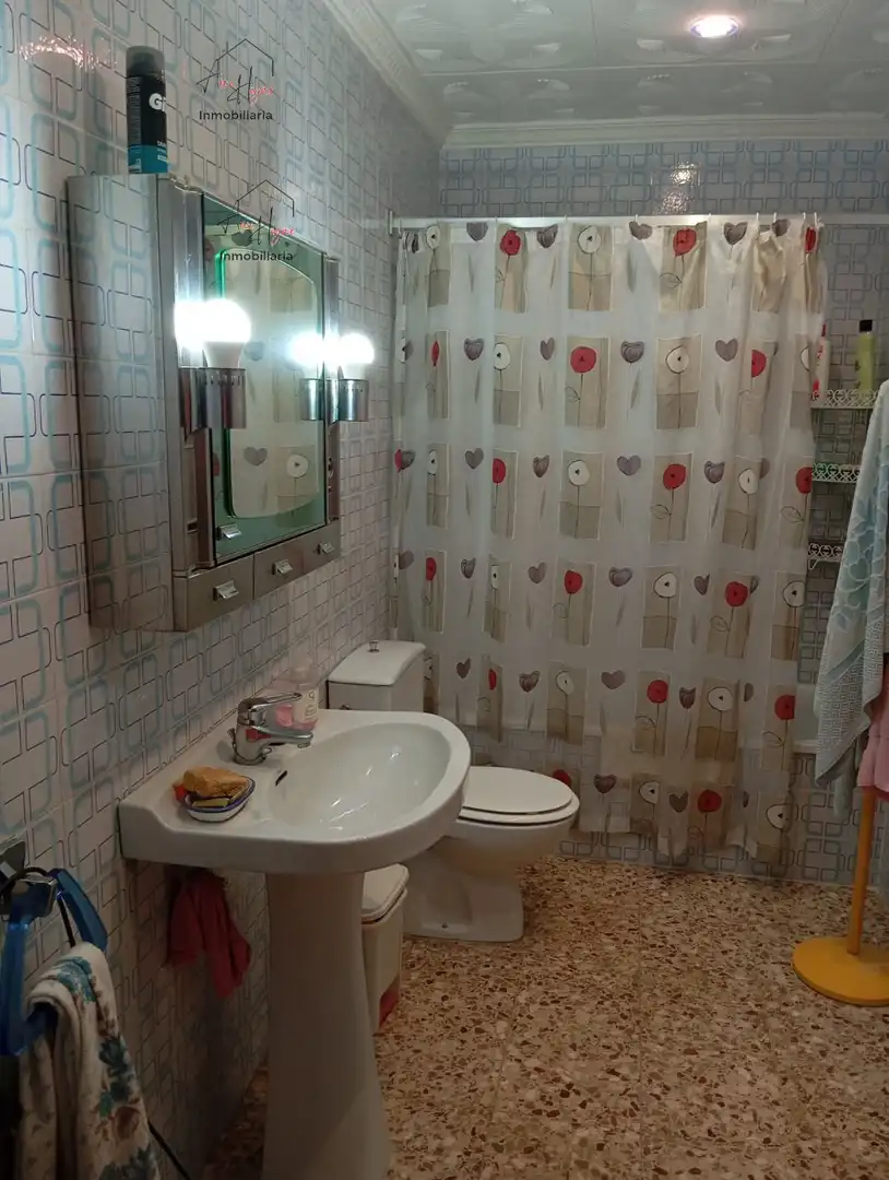 Casa en venda a ALEGRE, imagen 12