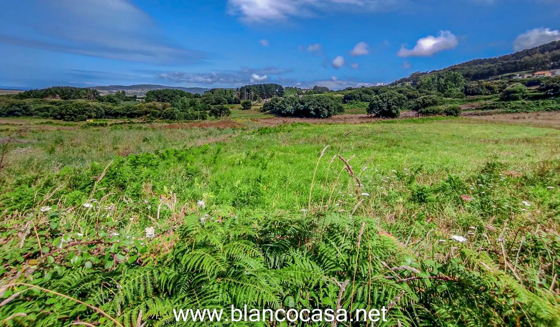 Land for sale in Carballo