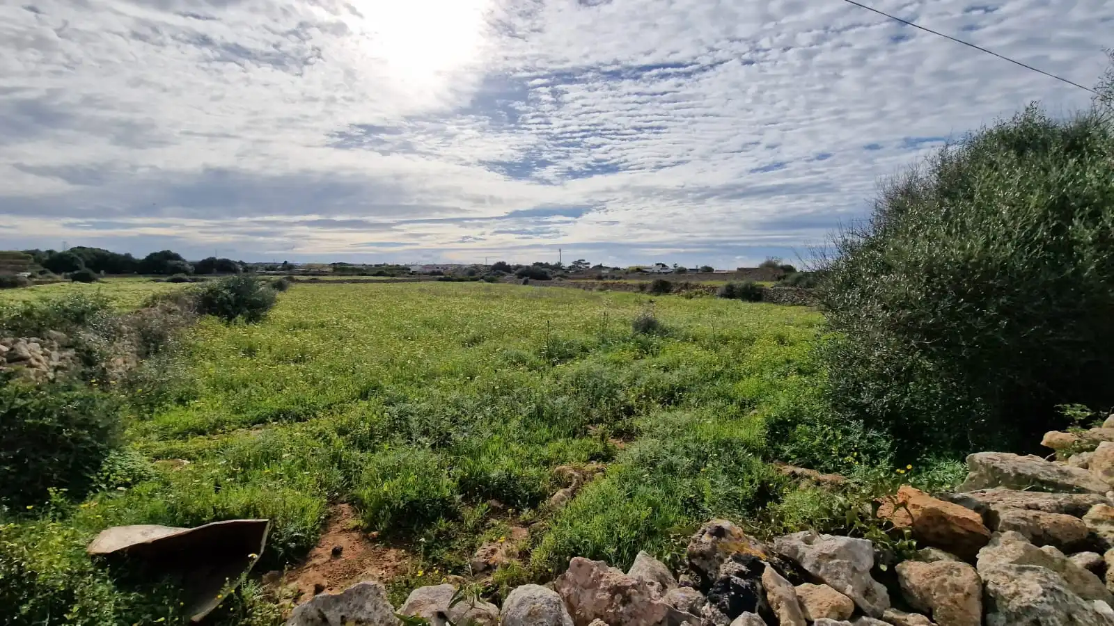 Rural land for sale in Ciutadella, imagen 5