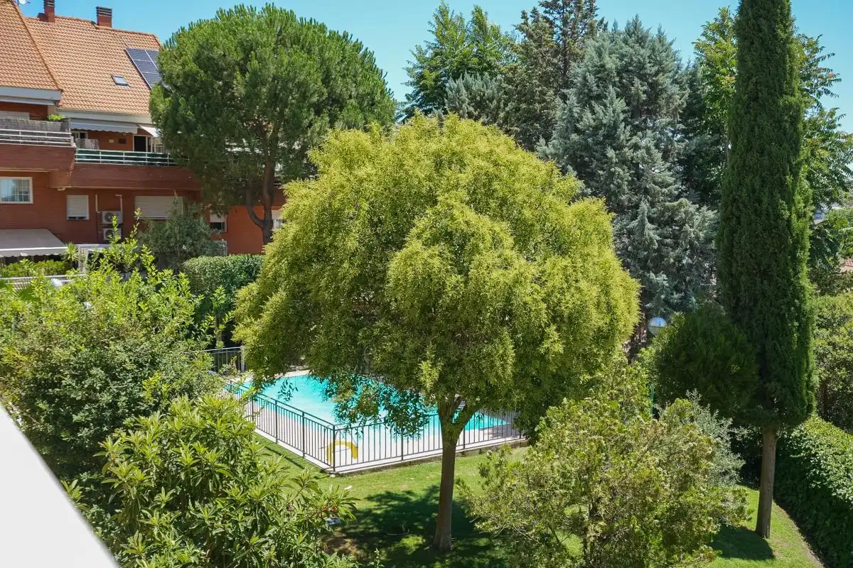 Piscina de Casa o xalet en venda en Algete amb Aire condicionat, Calefacció i Jardí privat