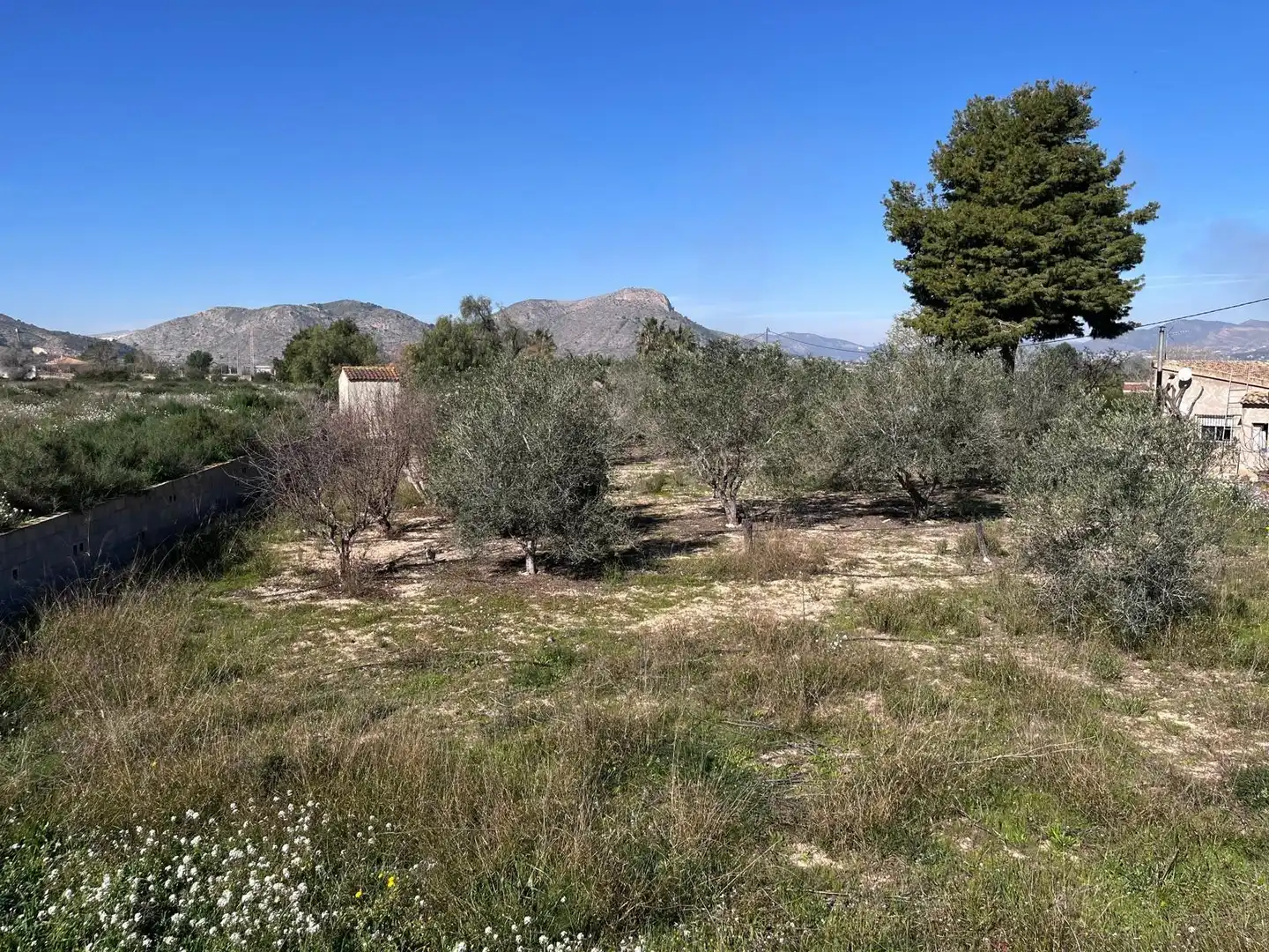 Houses for sale in Aspe  with Terrace, Swimming Pool and Furnished