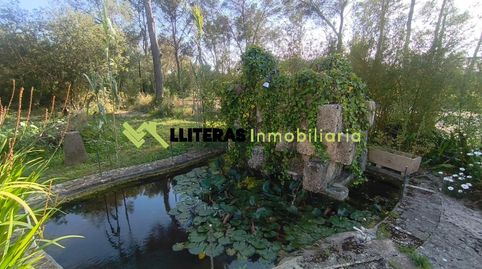 Foto 5 de Finca rústica en venta en Algaida, Illes Balears