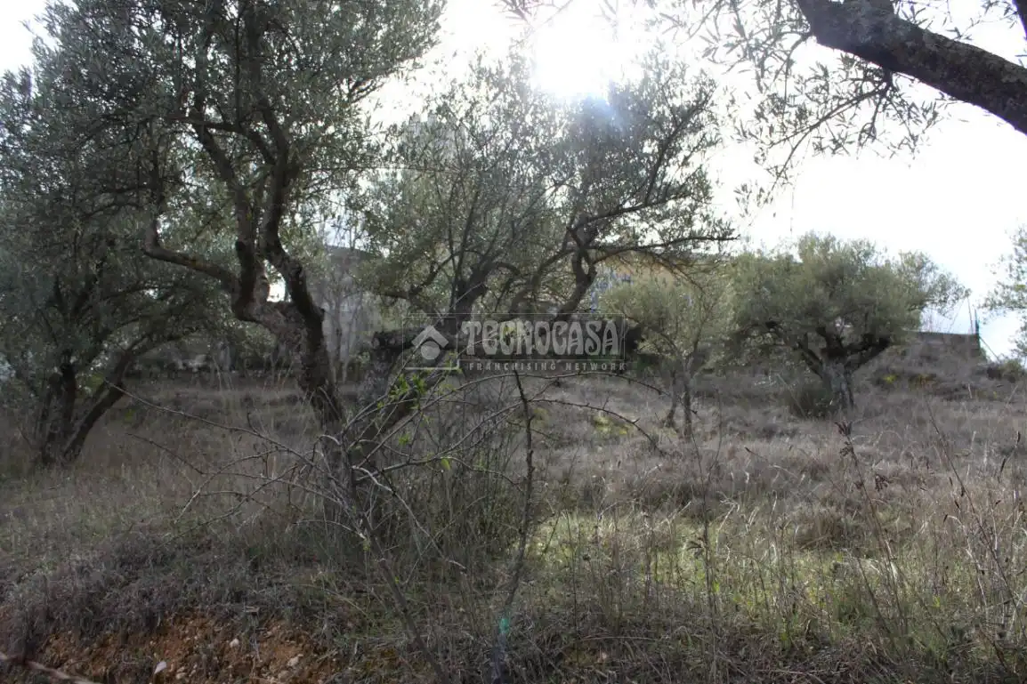 Terreno residenziale in vendita a Santorcaz, imagen 6