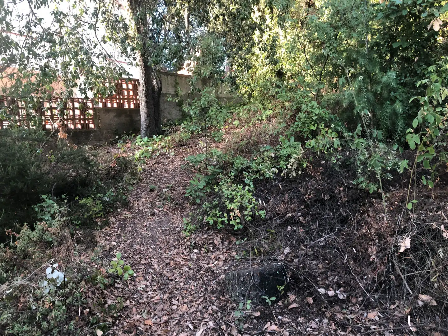 Terreno residencial en venta en Camino Mataro de 67, imagen 14