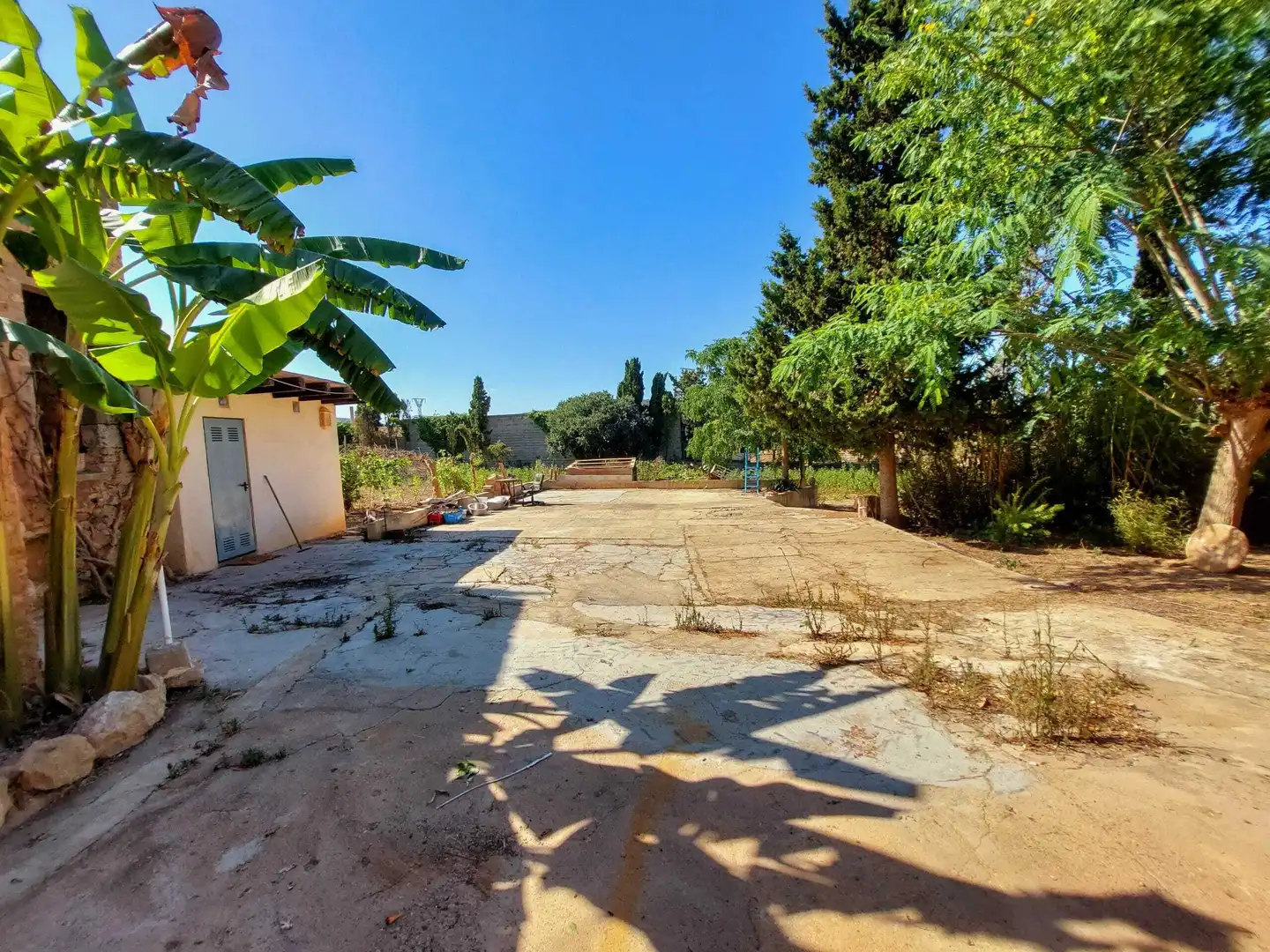 Finca rústica en venda en Felanitx amb Traster