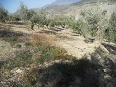 Terreni e lotti in vendita a Prado De Las Salinas, imagen 5