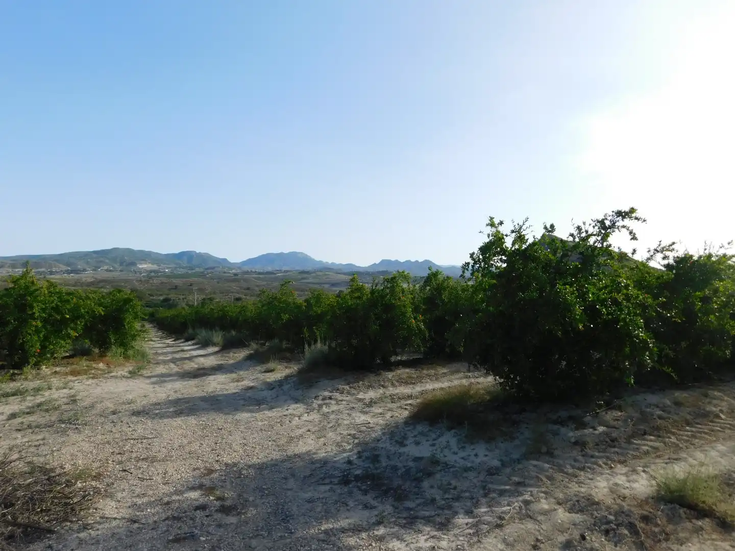 Terreno residencial en venta en San Miguel de Salinas, imagen 12