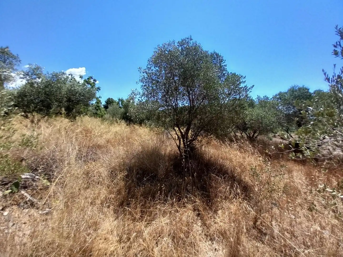 Terreno residencial en venta en Urbanitzacio Garrigots, imagen 16