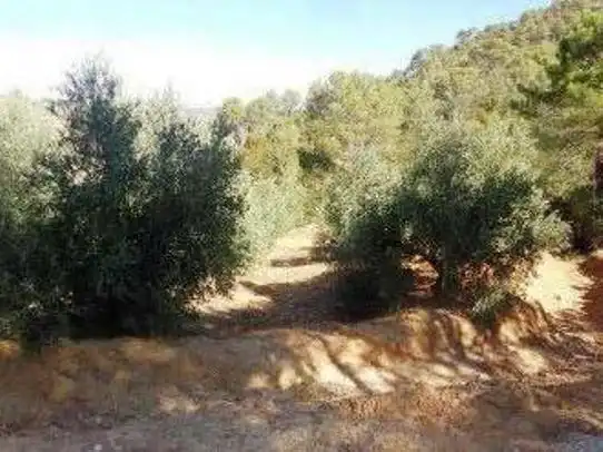 Terreni e lotti in vendita a Villanueva del Arzobispo, imagen 3
