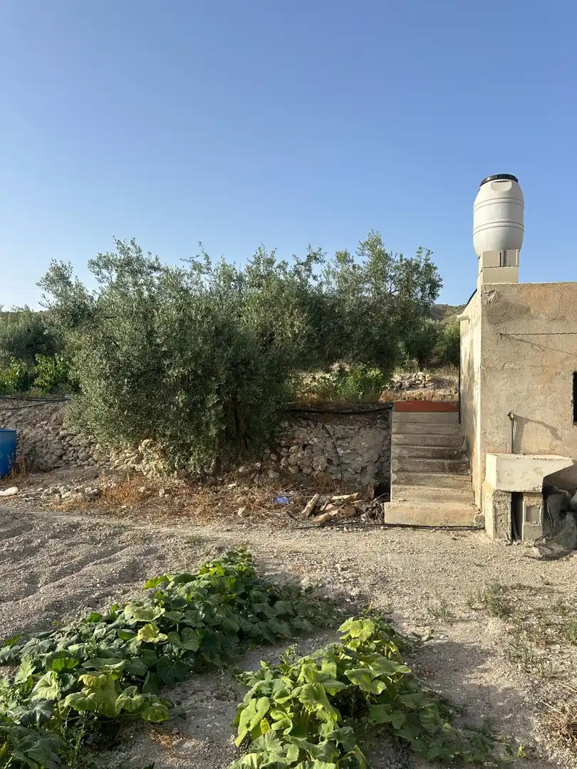Finca rústica en venta en Somontín