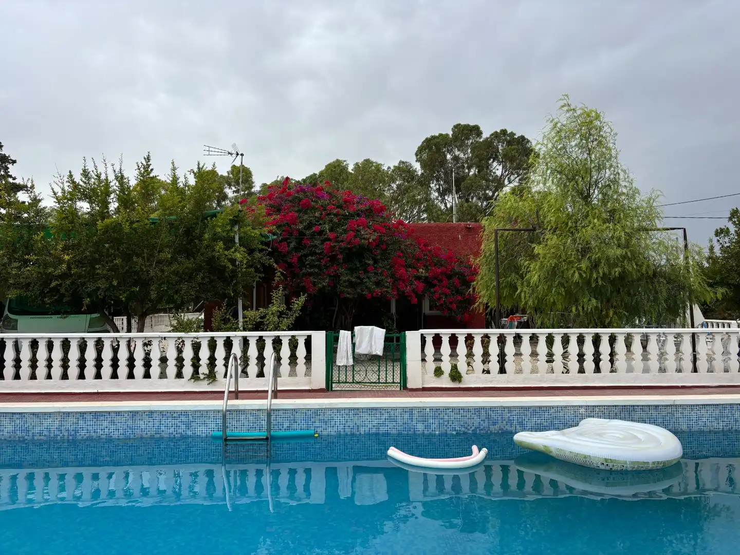 Piscina de Finca rústica en venda en Elche / Elx amb Aire condicionat, Jardí privat i Piscina