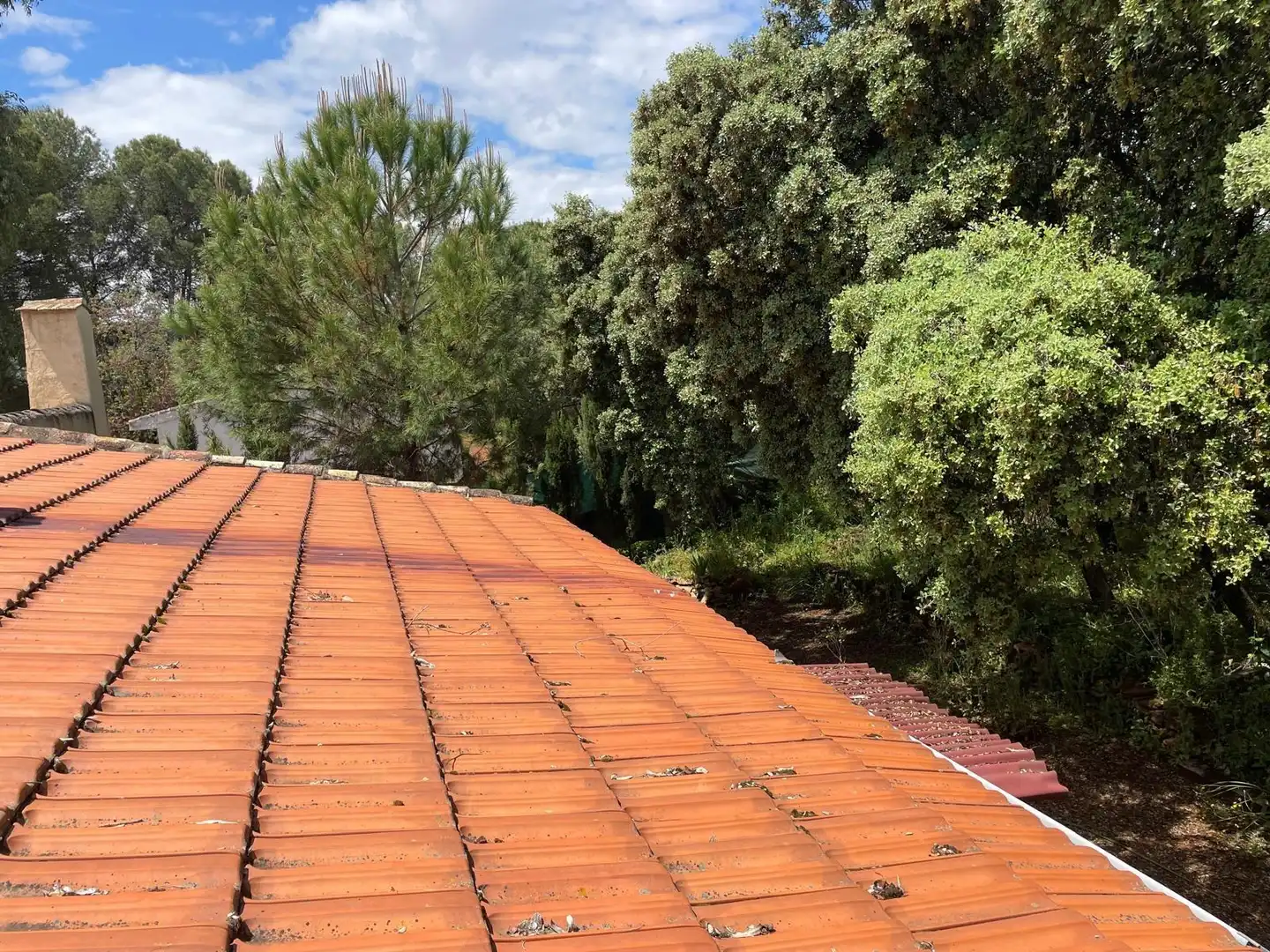 Jardí de Finca rústica en venda en Carrión de Calatrava amb Calefacció, Terrassa i Traster