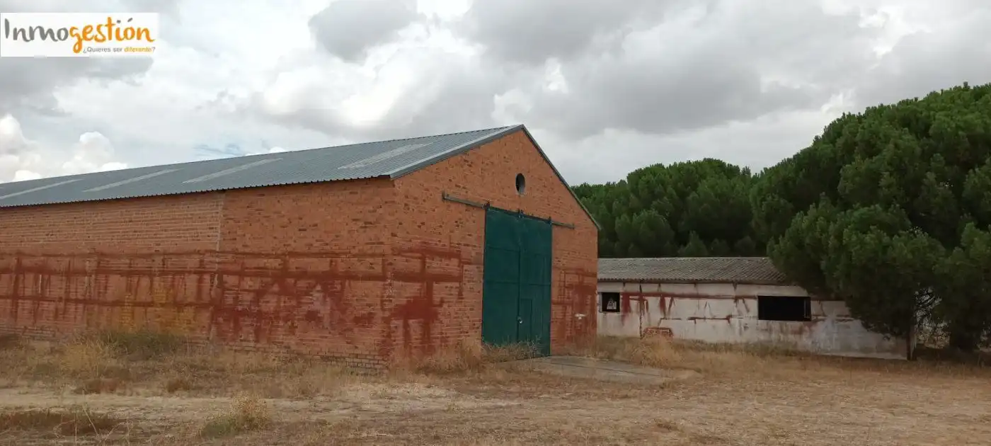 Terreno rústico en venta en Sardón de Duero, imagen 2