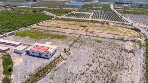 Foto 2 de Finca rústica en venda a Los Montesinos, Alicante