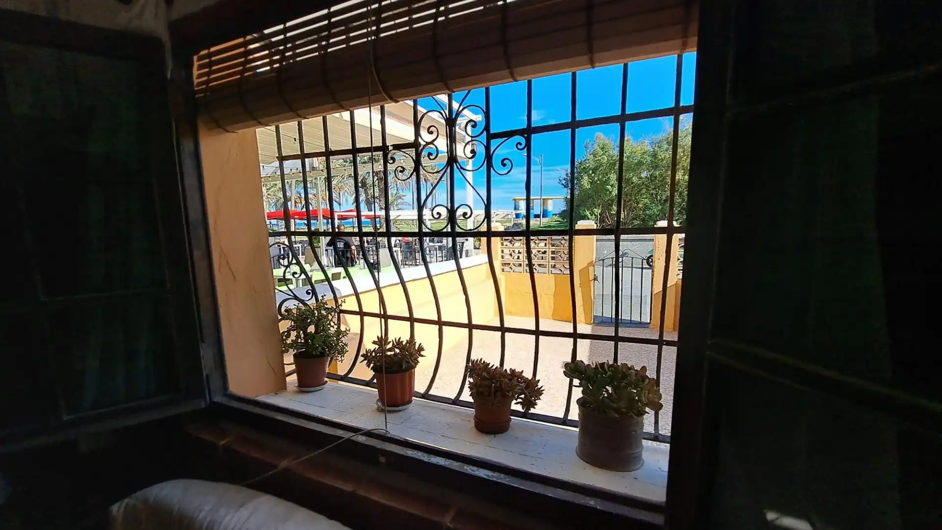 Commercial properties for sale in La Patacona