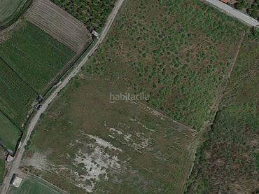 Terrain rustique à vendre à Calle Barrio Negro A 13