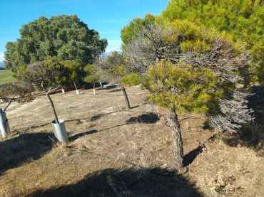Casa rústica en venta en Brunete
