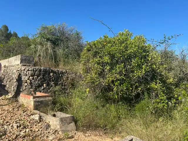Rural land for sale in Vilallonga / Villalonga, imagen 17