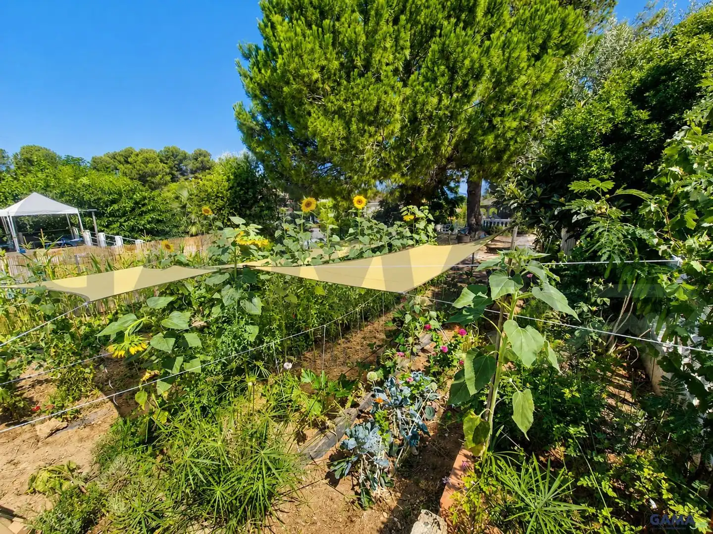 Garden of Houses for sale in Alberic  with Air Conditioner, Terrace and Swimming Pool