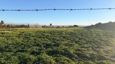 Photo 4 of Residential for sale in La Marina, Elche / Elx