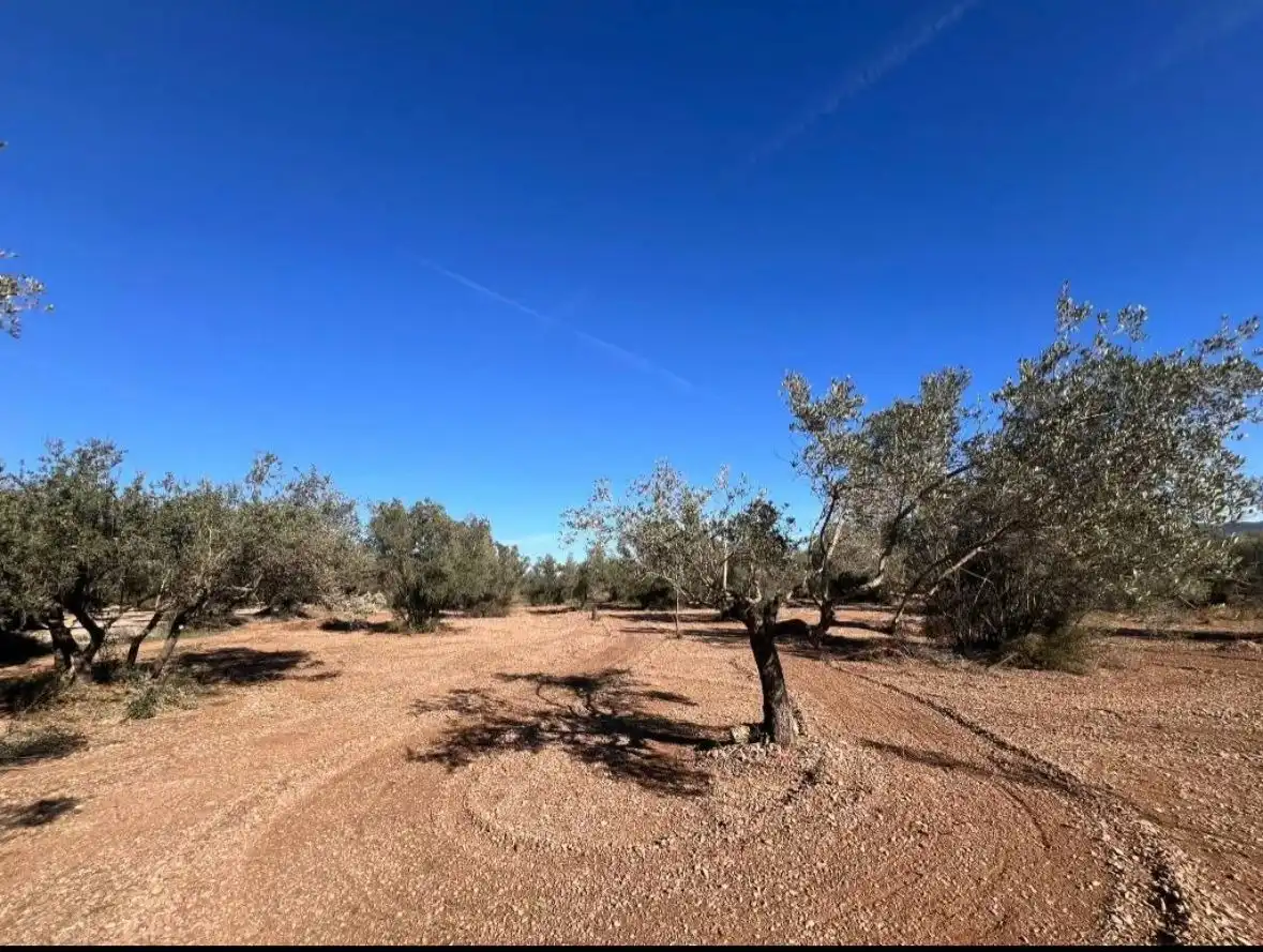 Finca rústica en venta en Ulldecona