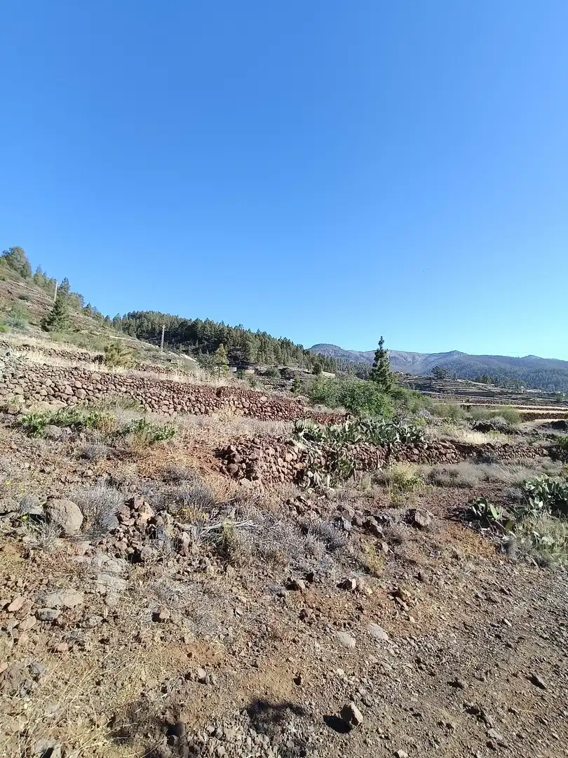 Terreno rústico en venta en M\A LIRIOS. VILAFLOR DE CHASNA [S.C. TENERIFE], imagen 24
