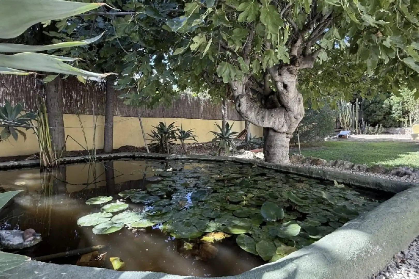 Casa amb piscina en venda a Benissa pueblo, imagen 17