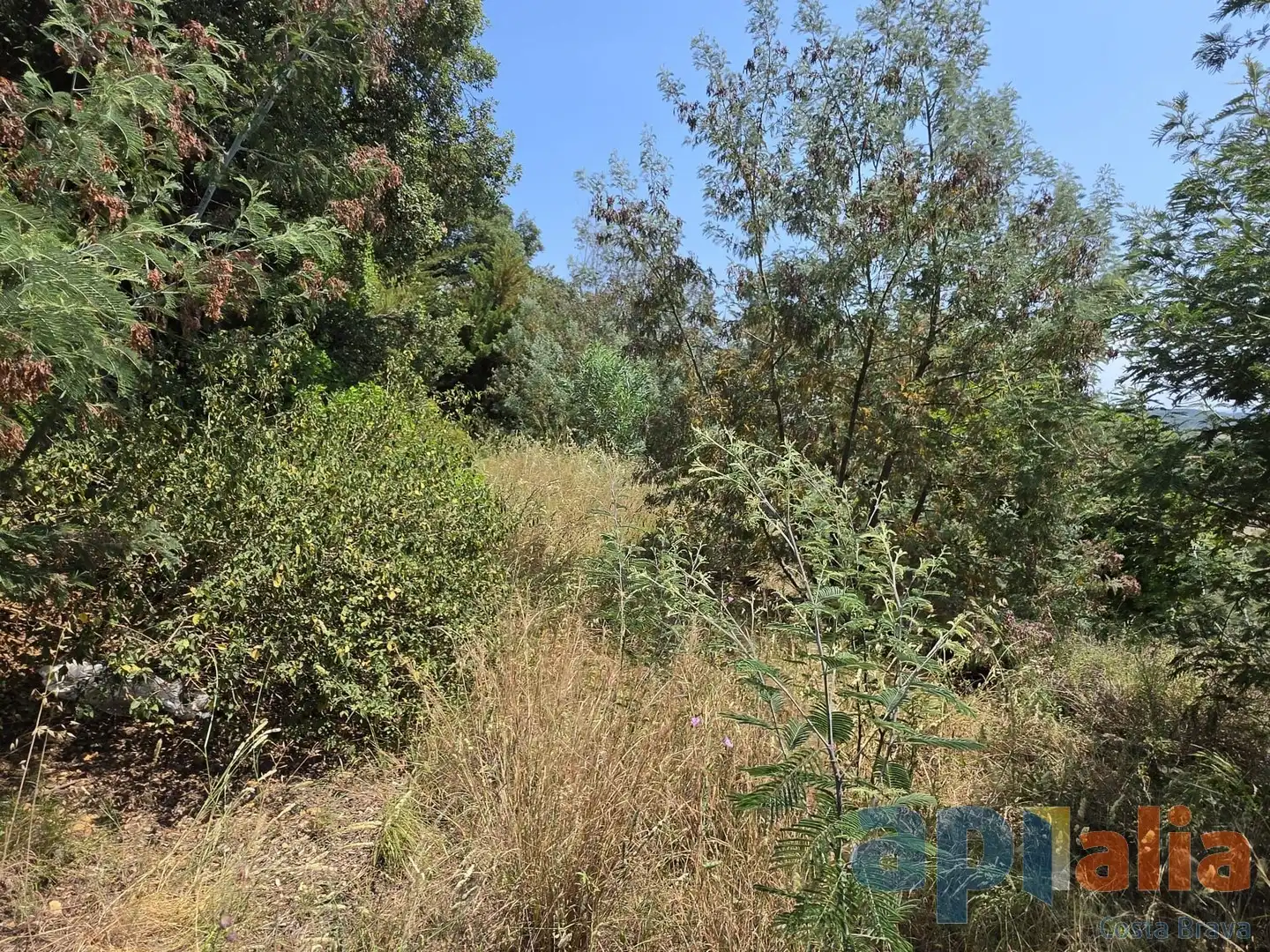Residential land for sale in Carrer de la Selva, imagen 12