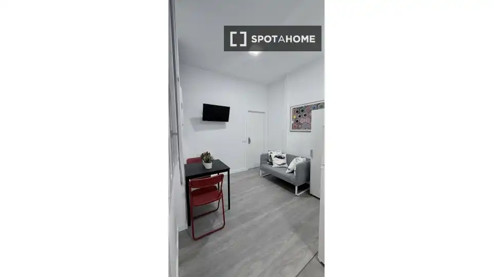 Piso en alquiler en Barrio de Salamanca