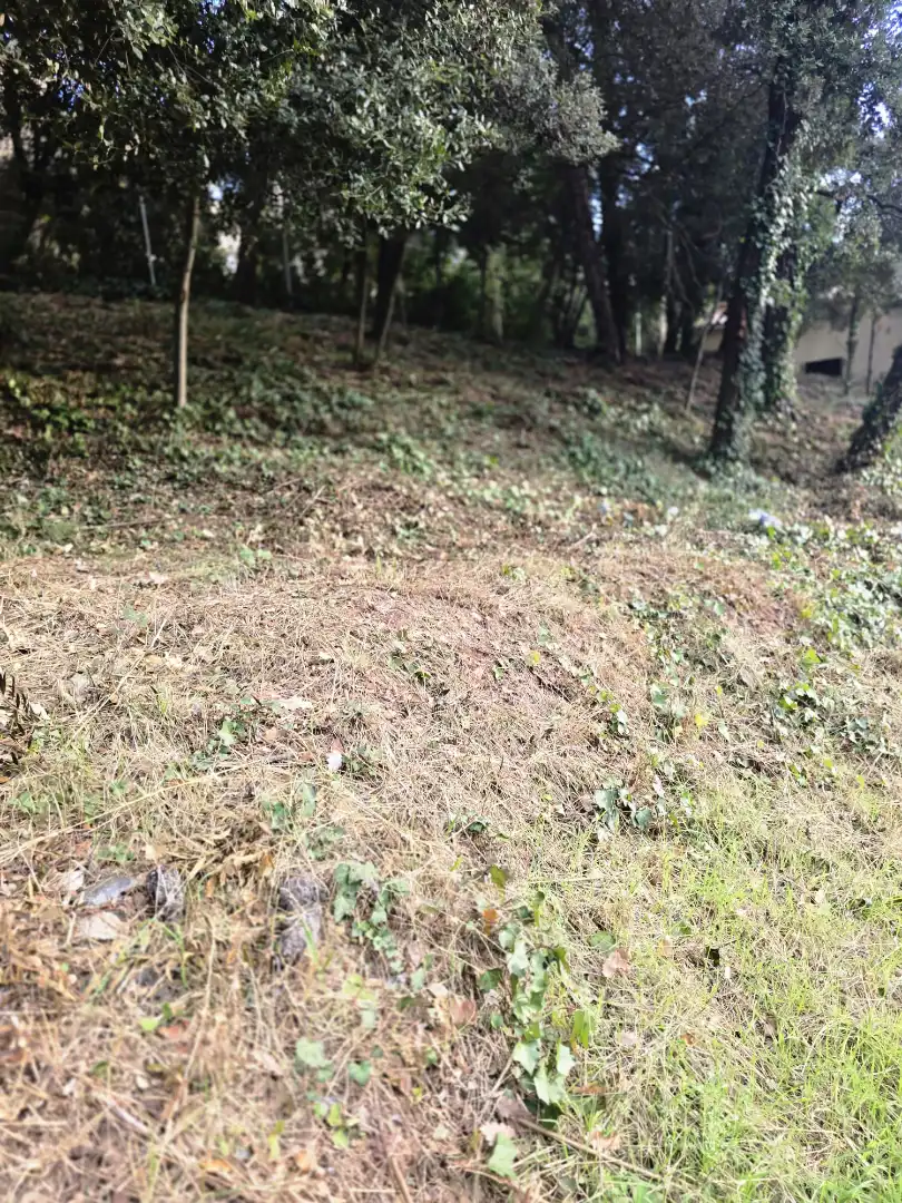 Terreno residencial en venta en Passeig d'Egara 2, imagen 24