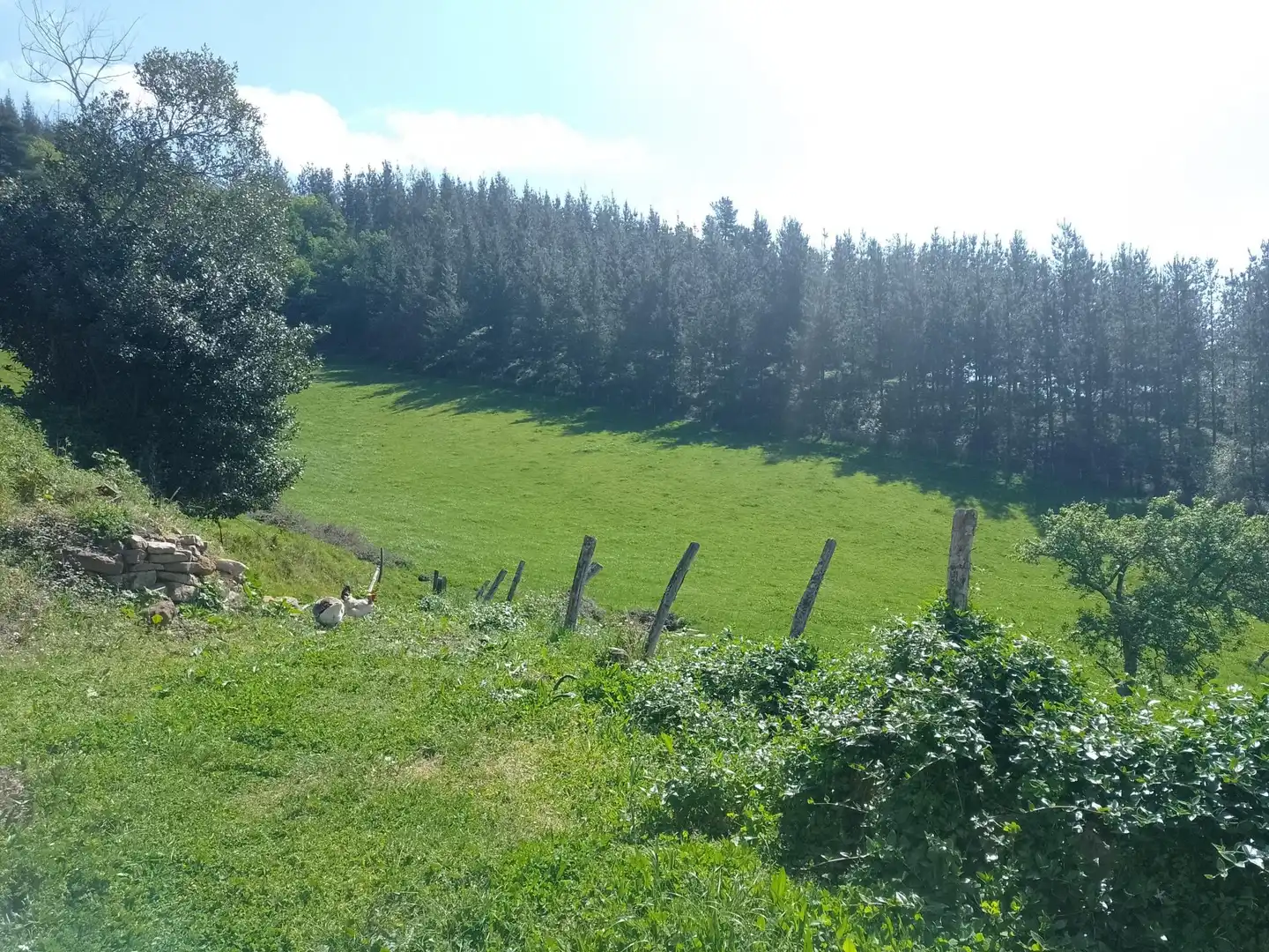 Finca rústica en venta en Amurrio con Calefacción