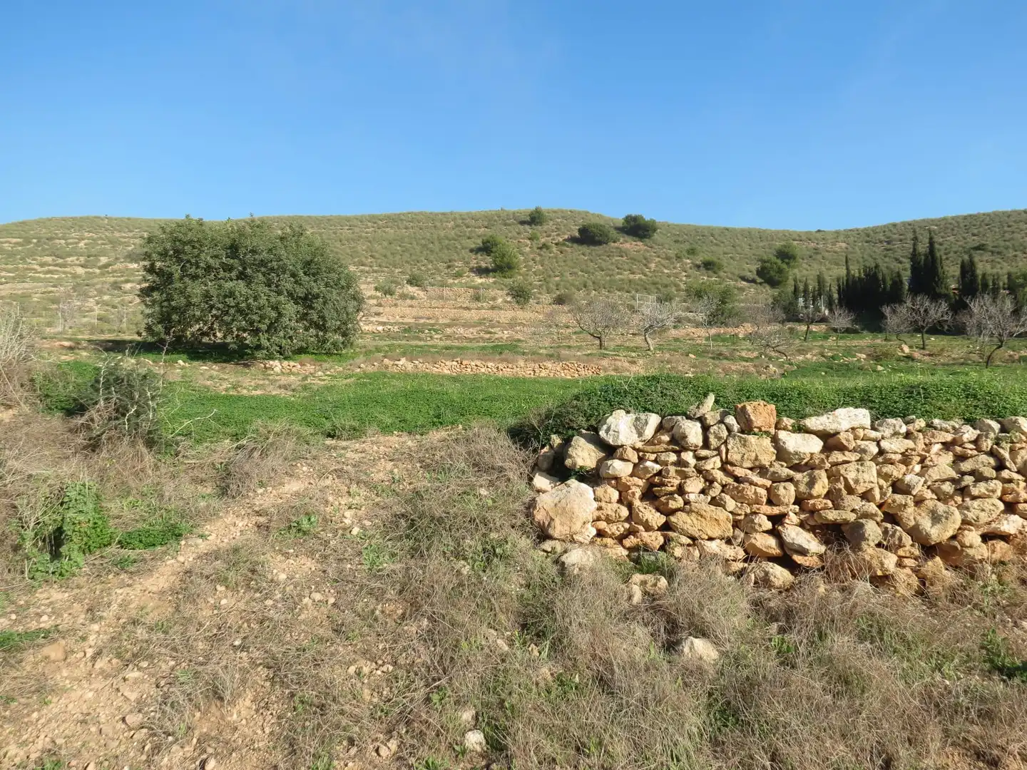 Terreni e lotti in vendita a Pedanías Oeste, imagen 4