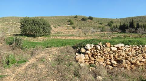 Foto 3 de Terreno en venta en Perín, Murcia