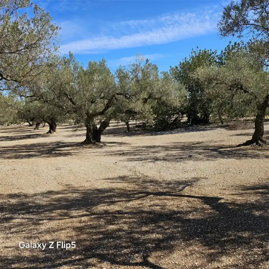 Grundstücke zum Verkauf in La Galera , Tarragona